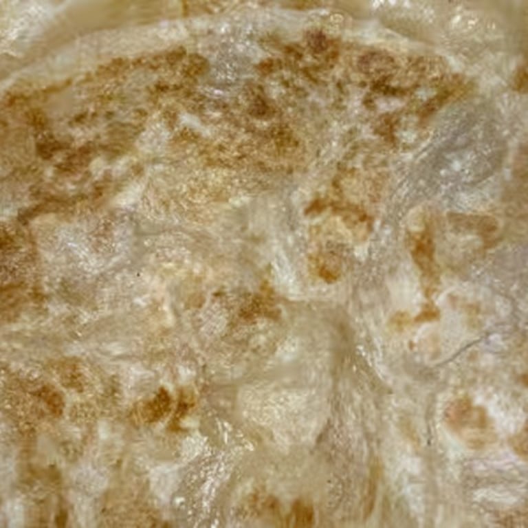 Delicious Indian Paratha and More